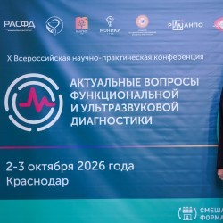fdiag2026d2_015.jpg